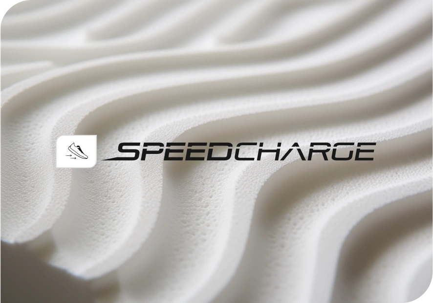 SPEEDCHARGE